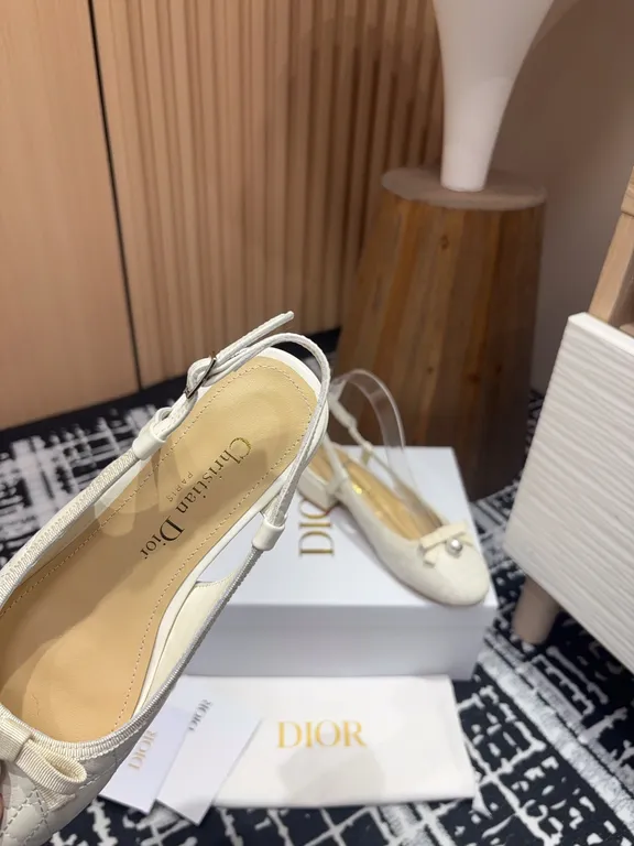 Dior Shoe 